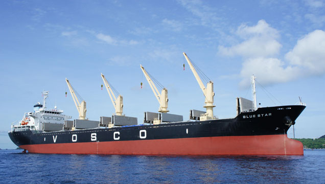 Decision to terminate the activities of the Branch VoscoShipping agent and logistics
